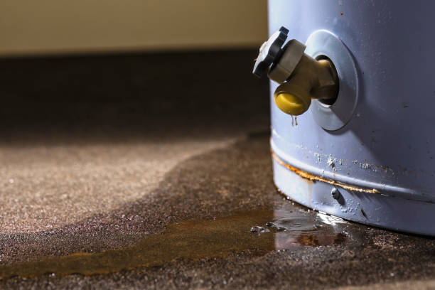 Professional Water damage restoration in AL