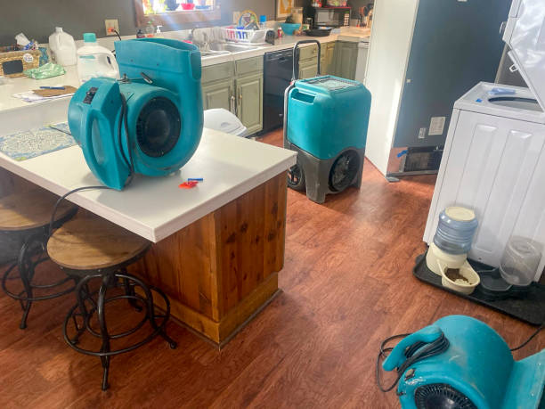 Best Basement water damage restoration  in Coing, AL