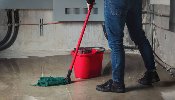 Best Water damage restoration process  in Coing, AL