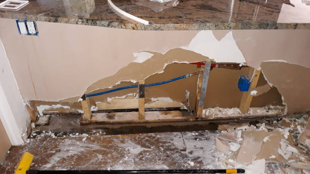 Best Mold removal after water damage  in Coing, AL
