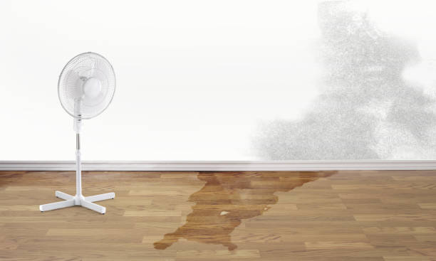 Best 24-hour water damage restoration  in Coing, AL