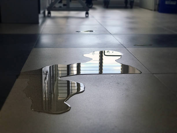 Best 24/7 water damage repair  in Coing, AL