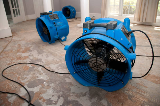 Best Water damage restoration near me  in Coing, AL
